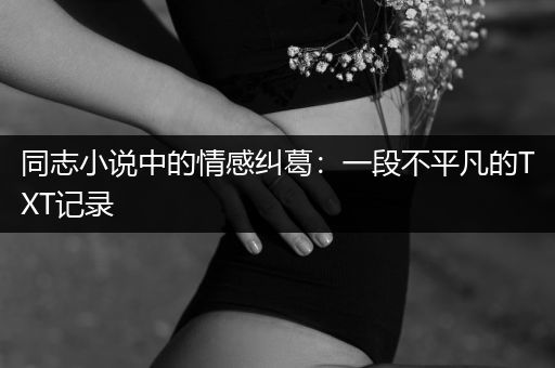 同志小说中的情感纠葛：一段不平凡的TXT记录