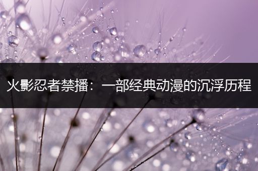 火影忍者禁播：一部经典动漫的沉浮历程