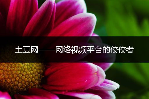 土豆网——网络视频平台的佼佼者