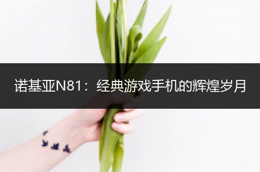 诺基亚N81：经典游戏手机的辉煌岁月