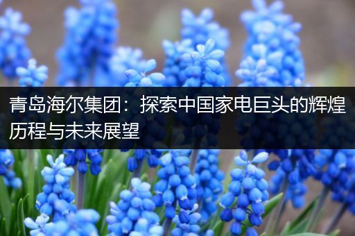 青岛海尔集团：探索中国家电巨头的辉煌历程与未来展望