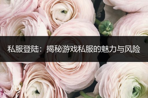 私服登陆：揭秘游戏私服的魅力与风险