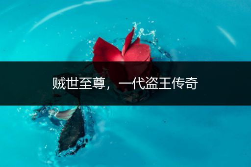 贼世至尊，一代盗王传奇