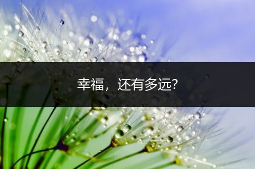 幸福，还有多远？
