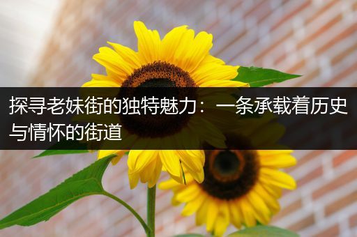探寻老妹街的独特魅力：一条承载着历史与情怀的街道