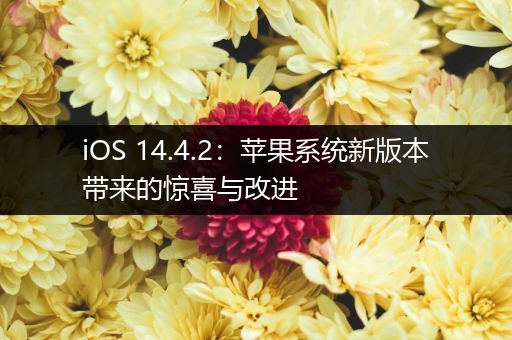 iOS 14.4.2:苹果系统新版本带来的惊喜与改进