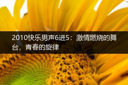 2010快乐男声6进5：激情燃烧的舞台，青春的旋律