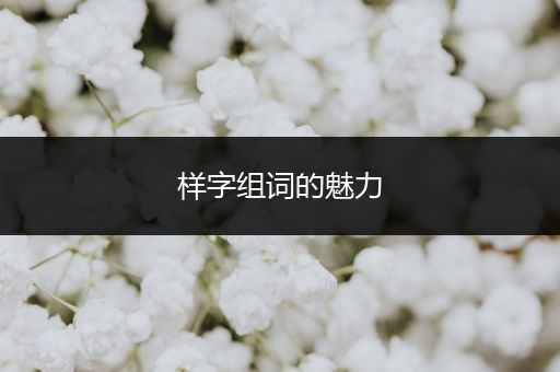 样字组词的魅力