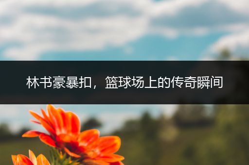 林书豪暴扣,篮球场上的传奇瞬间