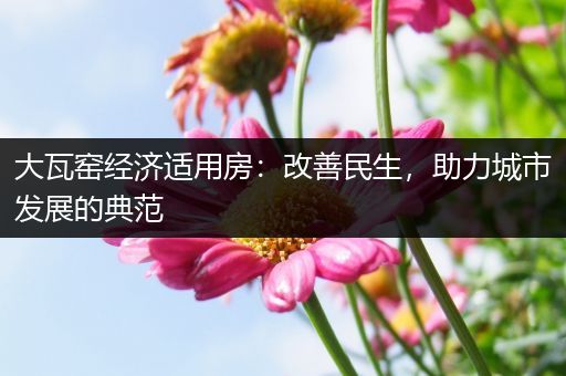 大瓦窑经济适用房：改善民生，助力城市发展的典范