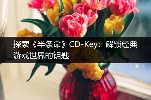 探索《半条命》CD-Key：解锁经典游戏世界的钥匙