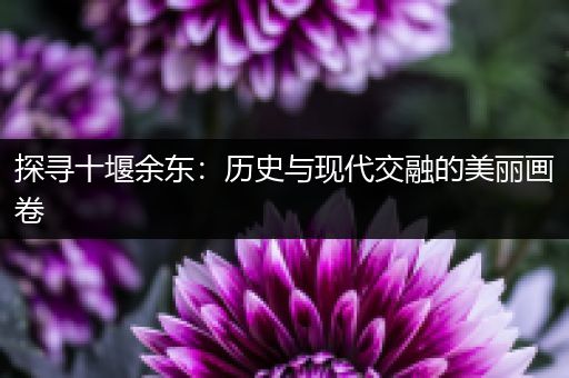 探寻十堰余东：历史与现代交融的美丽画卷