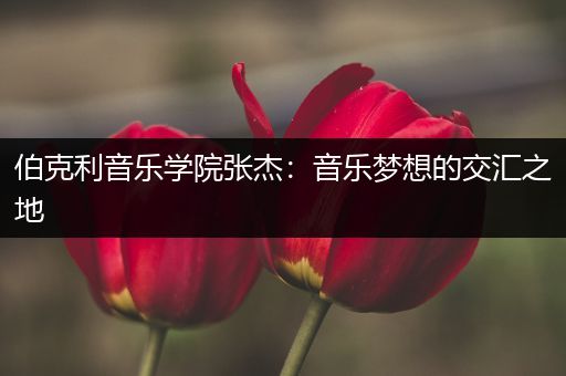 伯克利音乐学院张杰：音乐梦想的交汇之地