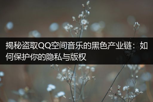 揭秘盗取QQ空间音乐的黑色产业链：如何保护你的隐私与版权