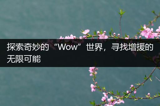 探索奇妙的“Wow”世界，寻找增援的无限可能