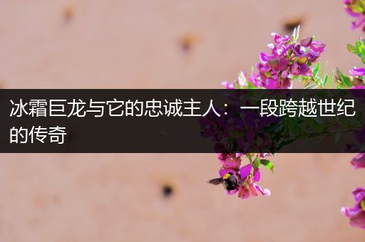 冰霜巨龙与它的忠诚主人：一段跨越世纪的传奇