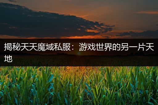 揭秘天天魔域私服：游戏世界的另一片天地