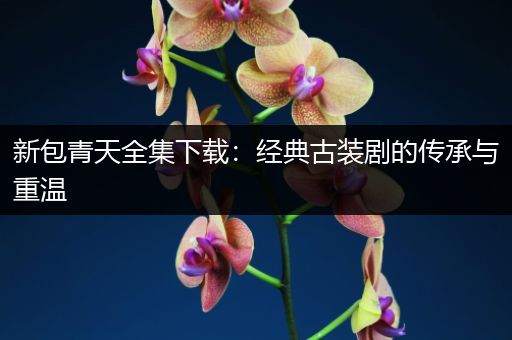 新包青天全集下载：经典古装剧的传承与重温