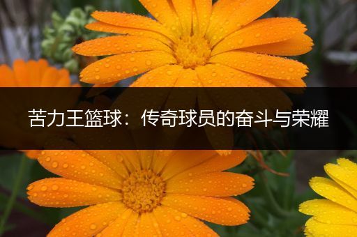 苦力王篮球：传奇球员的奋斗与荣耀