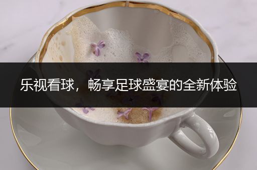 乐视看球，畅享足球盛宴的全新体验