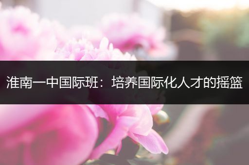 淮南一中国际班：培养国际化人才的摇篮