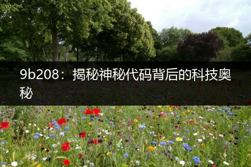 9b208：揭秘神秘代码背后的科技奥秘