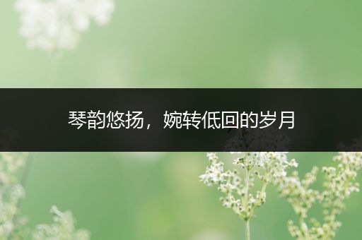 琴韵悠扬，婉转低回的岁月