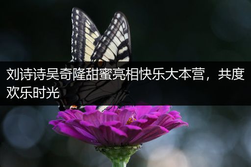 刘诗诗吴奇隆甜蜜亮相快乐大本营，共度欢乐时光