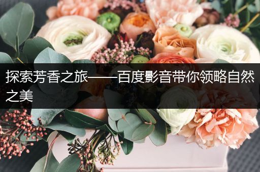 探索芳香之旅——百度影音带你领略自然之美