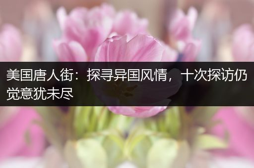 美国唐人街：探寻异国风情，十次探访仍觉意犹未尽