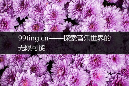 99ting.cn——探索音乐世界的无限可能