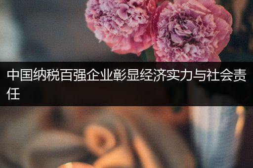 中国纳税百强企业彰显经济实力与社会责任