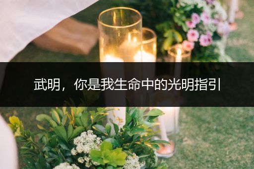武明，你是我生命中的光明指引
