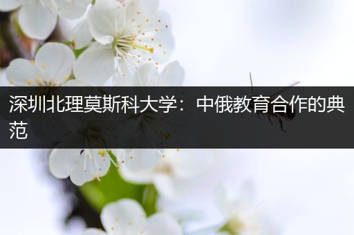 深圳北理莫斯科大学：中俄教育合作的典范