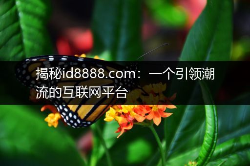揭秘id8888.com：一个引领潮流的互联网平台