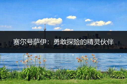 赛尔号萨伊：勇敢探险的精灵伙伴