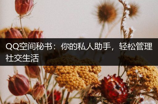 QQ空间秘书：你的私人助手，轻松管理社交生活