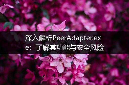 深入解析PeerAdapter.exe：了解其功能与安全风险