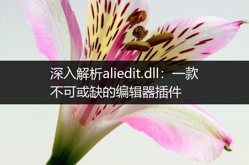 深入解析aliedit.dll：一款不可或缺的编辑器插件