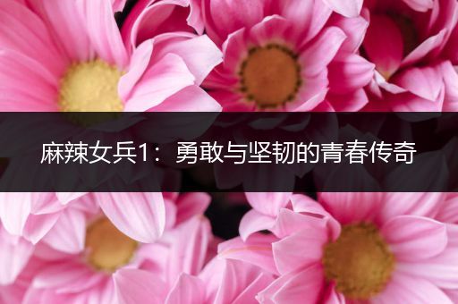 麻辣女兵1：勇敢与坚韧的青春传奇