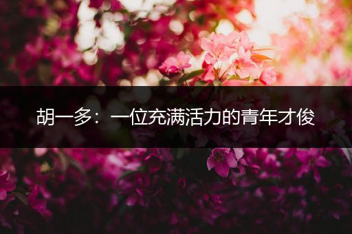 胡一多：一位充满活力的青年才俊