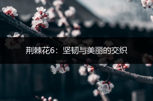荆棘花6：坚韧与美丽的交织