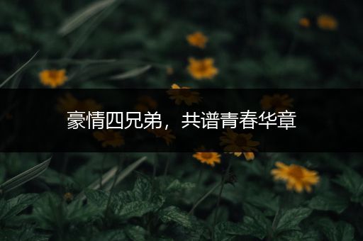 豪情四兄弟，共谱青春华章