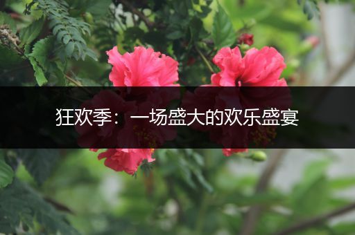 狂欢季：一场盛大的欢乐盛宴