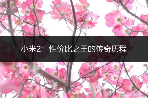 小米2：性价比之王的传奇历程