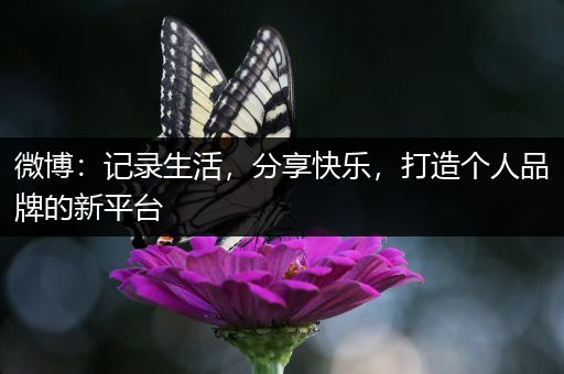 微博：记录生活，分享快乐，打造个人品牌的新平台