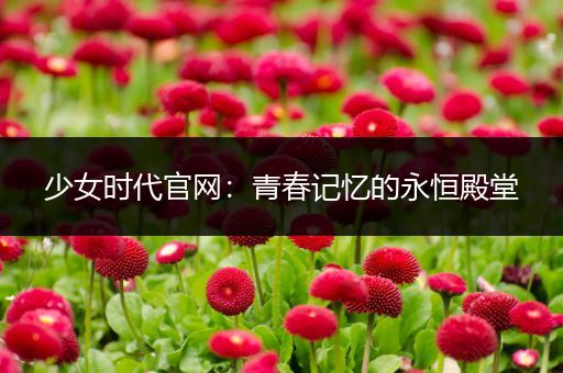 少女时代官网：青春记忆的永恒殿堂