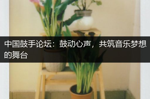 中国鼓手论坛：鼓动心声，共筑音乐梦想的舞台
