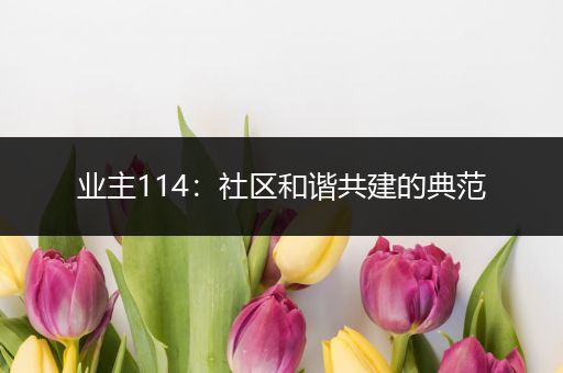 业主114：社区和谐共建的典范