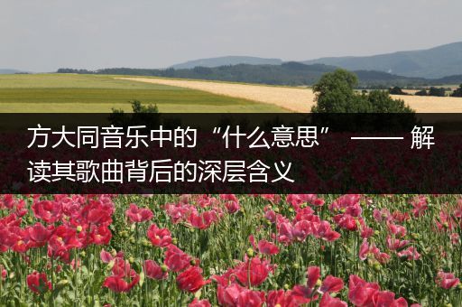 方大同音乐中的“什么意思” —— 解读其歌曲背后的深层含义